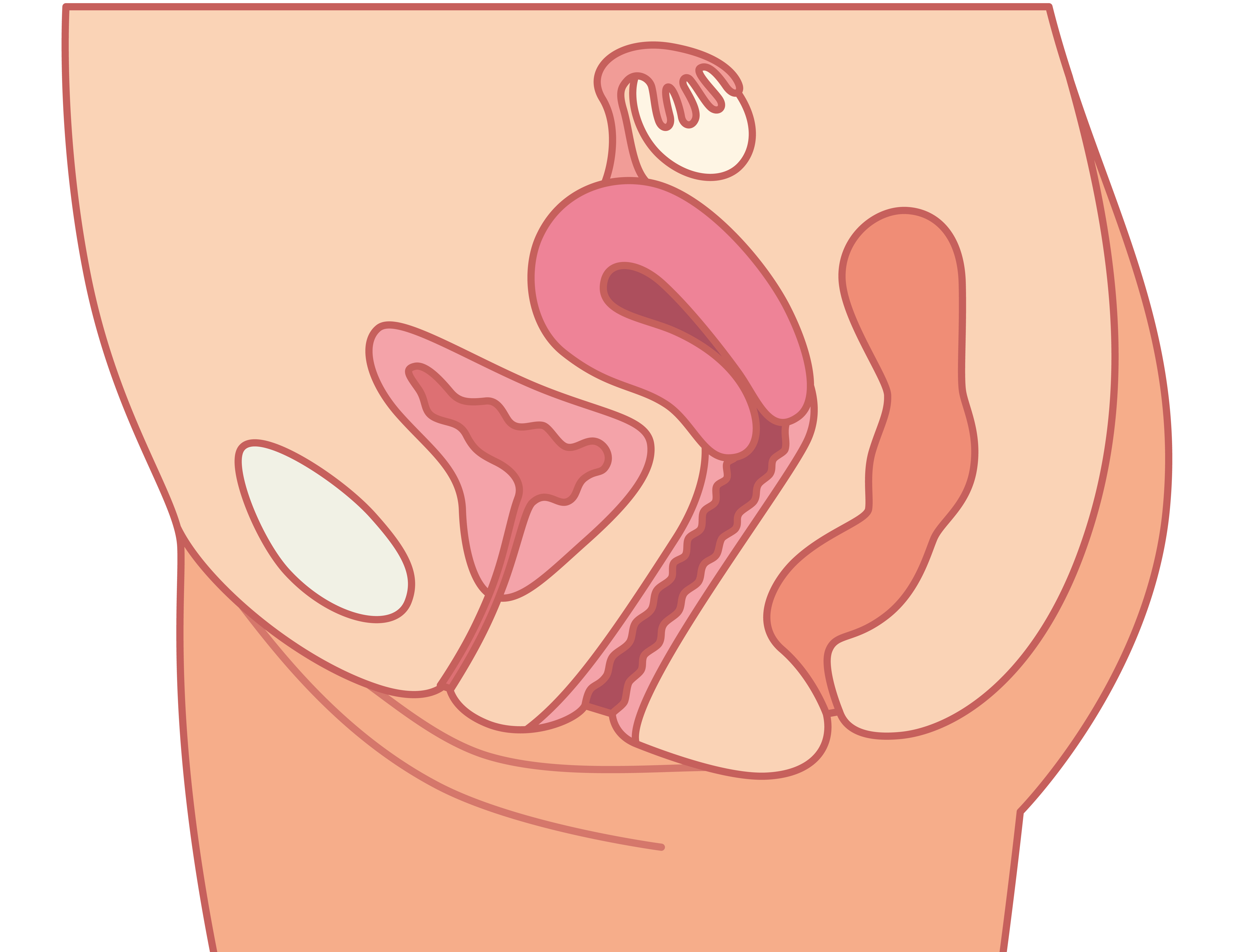 8 questions with answers in UTERINE PROLAPSE