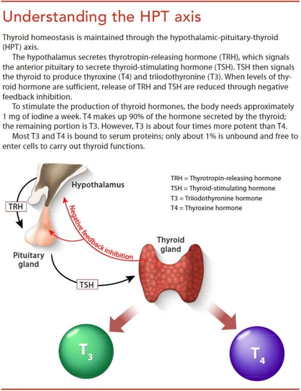 Hypothyroidism and nursing care - American Nurse Today