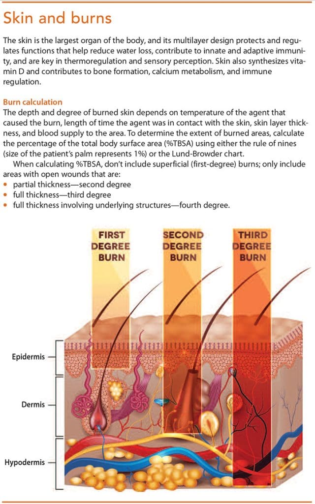 Initial assessment and management of burn patients