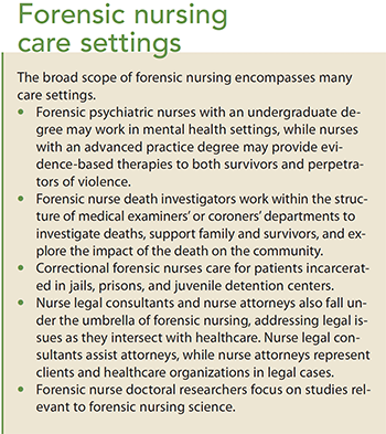 forensic nursing overview of a growing profession care