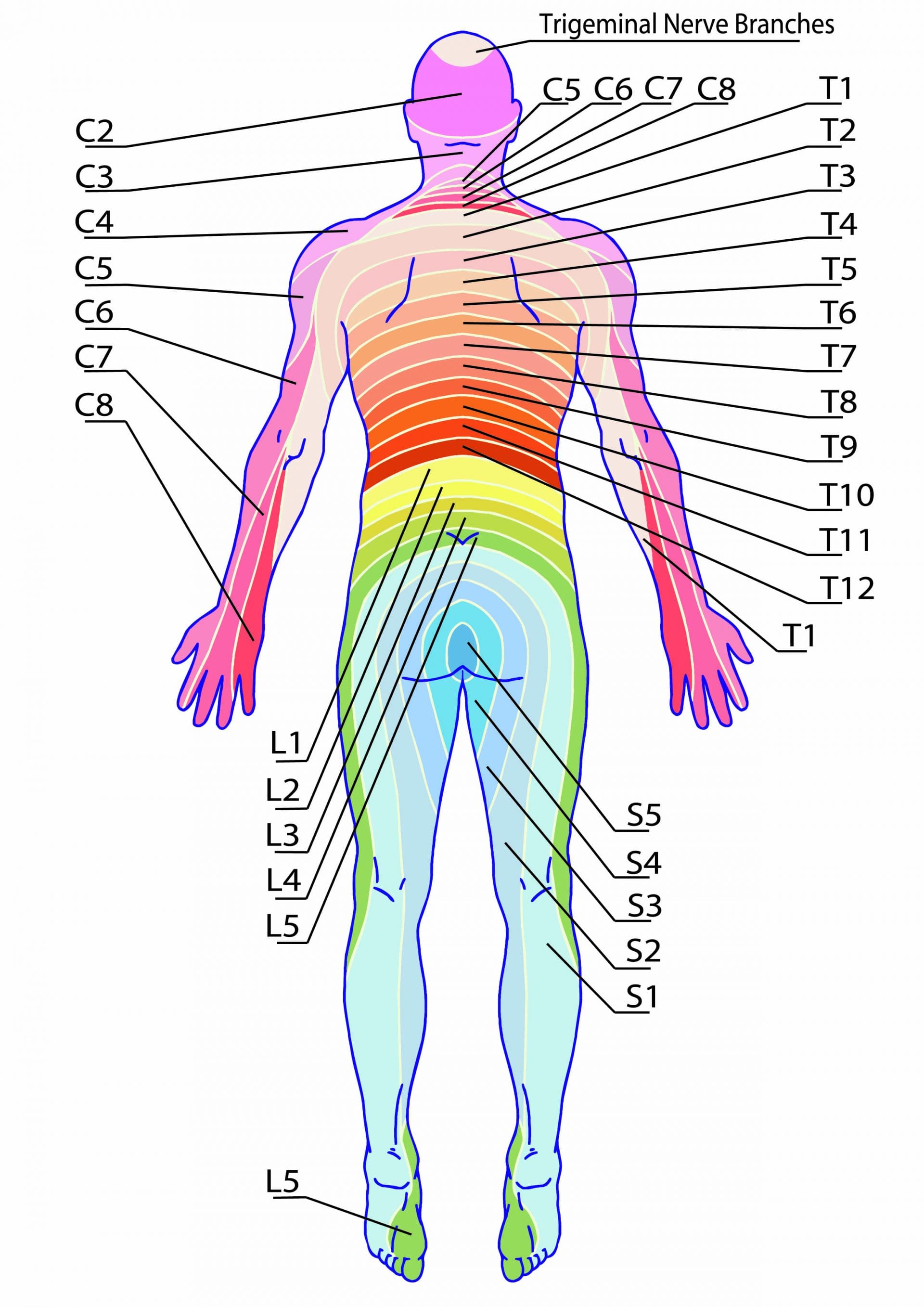 an-overview-of-neuraxial-anesthesia-american-nurse