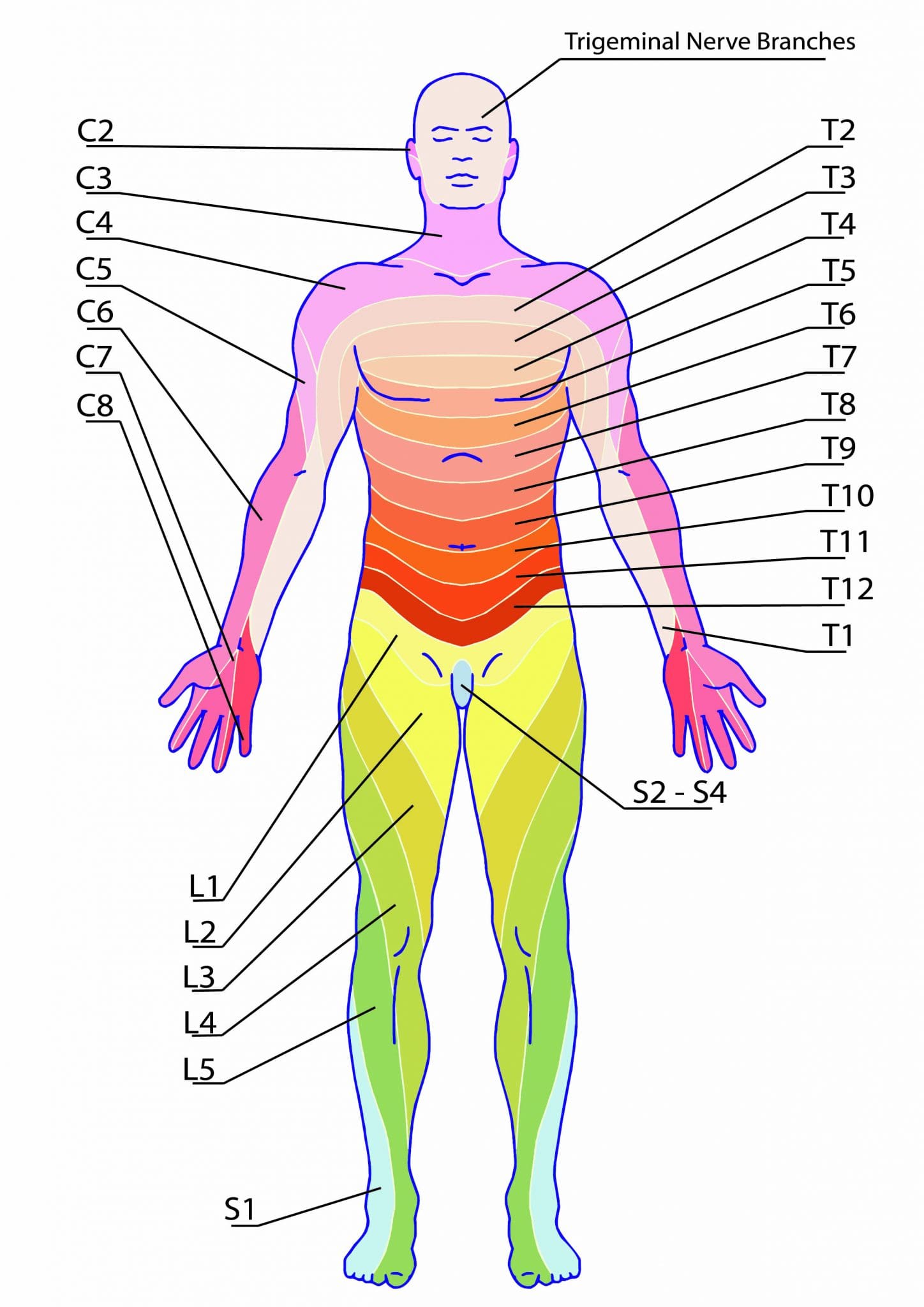 An overview of neuraxial anesthesia