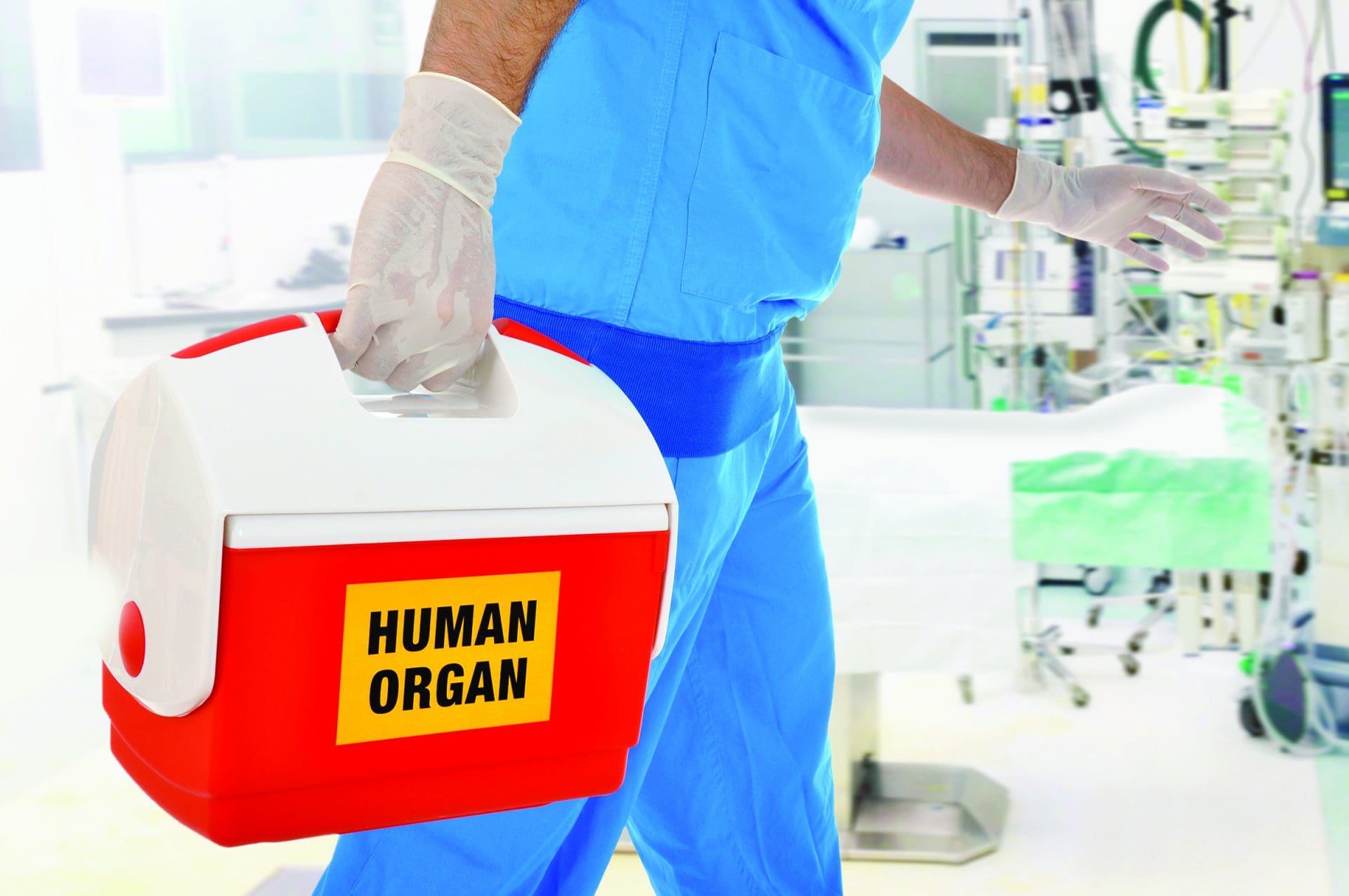 Care and collaboration equal successful organ donation - American Nurse