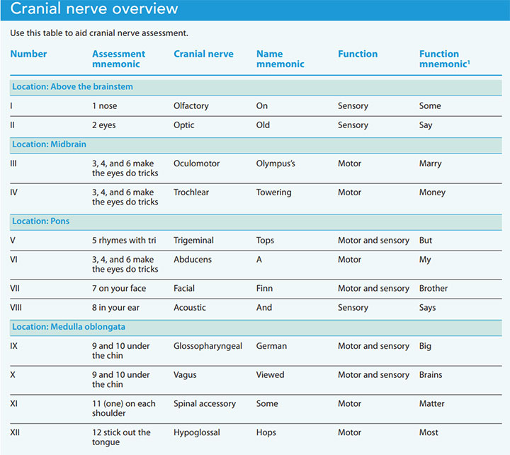 Cranial Nerve Assessment A Practical Approach