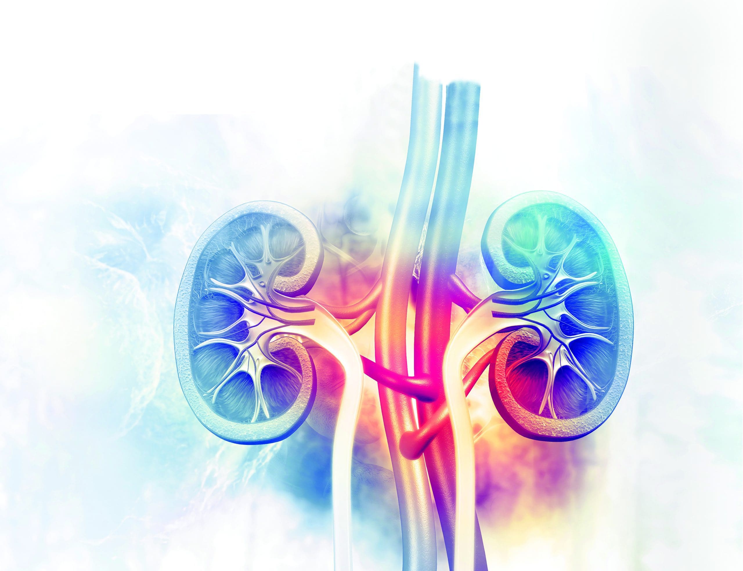 Acute Kidney Injury A Nursing Challenge