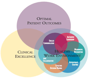 Figure 1: AACN Standards for Establishing and Sustaining Healthy Work Environments (AACN 2016)